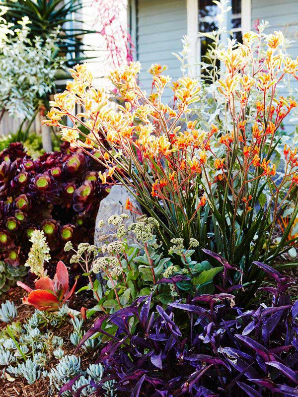landscaping design landscaping design