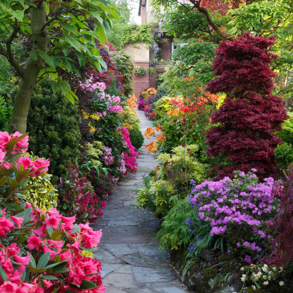 landscaping design