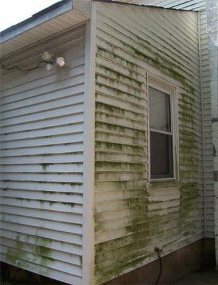 NEW ERA | Project Title Handyman Gallery